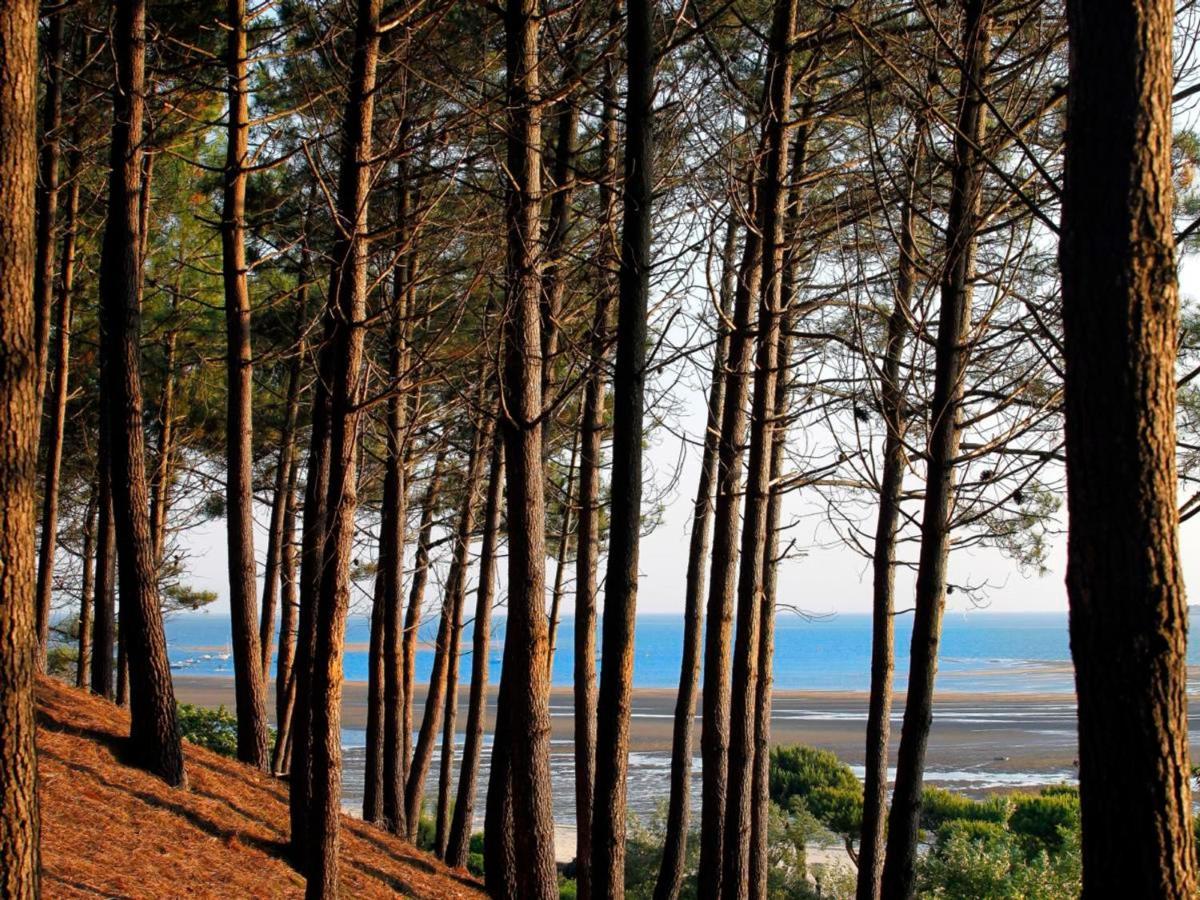 Arcachon Centre : Charmant T2 Avec Loggia, Parking Securise Et Proche Plage - Fr-1-420-61 المظهر الخارجي الصورة